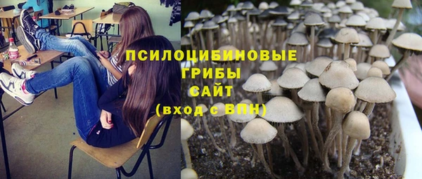 дмт Лагань