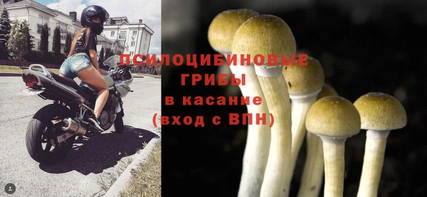 мяу мяу кристалл Ладушкин