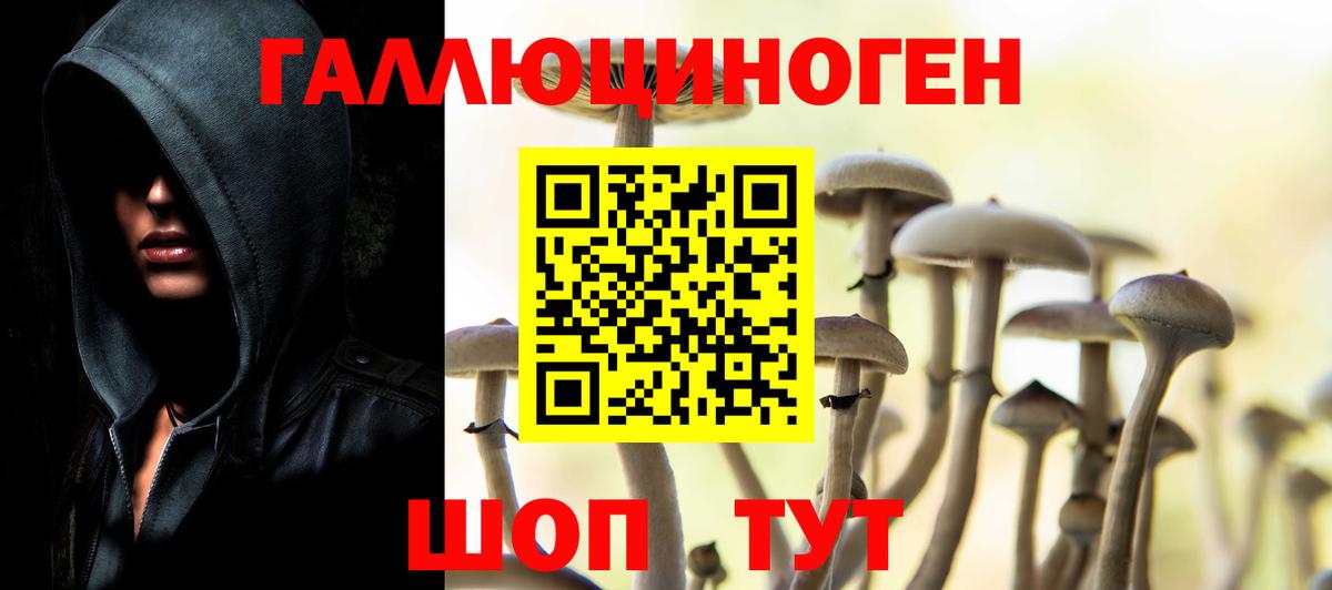 Псилоцибиновые грибы Psilocybe  Вход с VPN  Малоярославец 