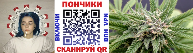 купить наркоту  дарк нет какой сайт  Бошки марихуана OG Kush  Малоярославец 